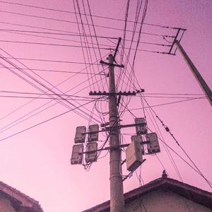 大胆性爱视频亚洲人与动
