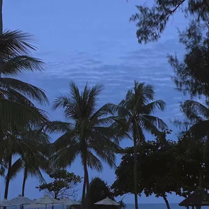 大胆性爱视频亚洲人与动
